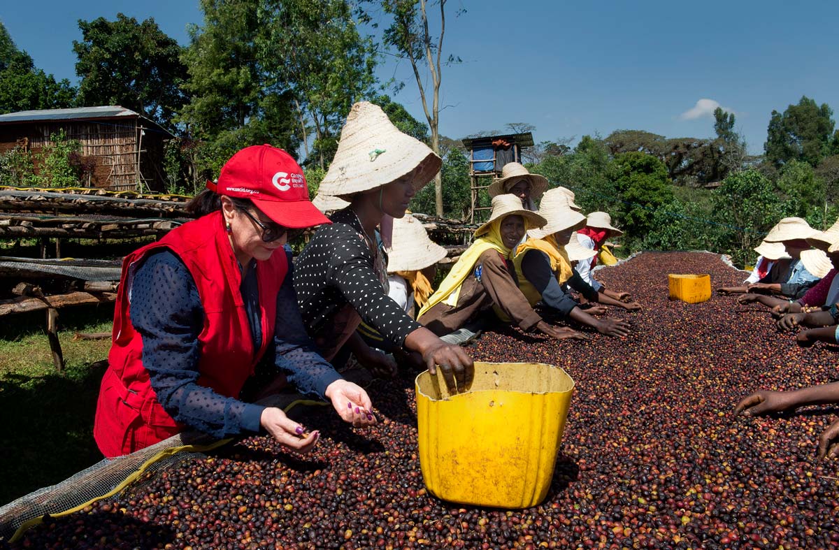 Final Evaluation of the Women, Coffee & Climate Project in Ethiopia